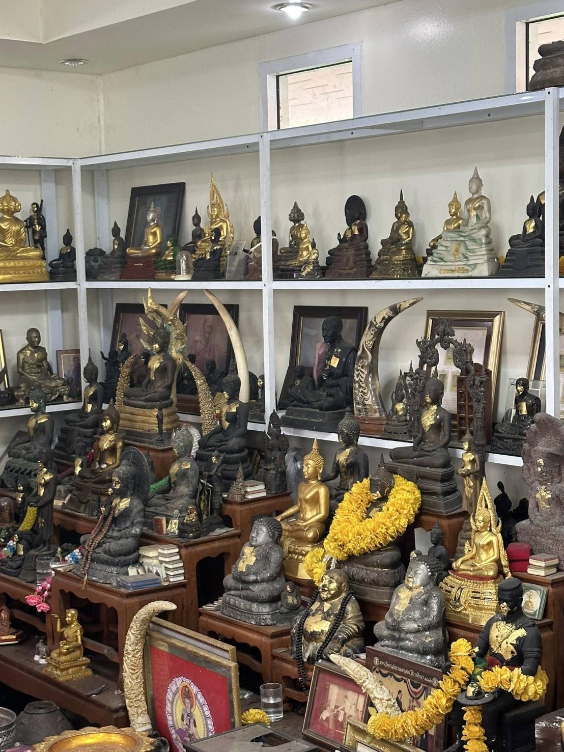 รูปภาพ 4